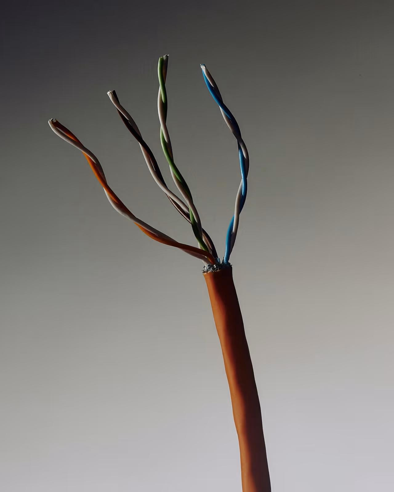 Creative Agencies for Startups to Watch in 2025 