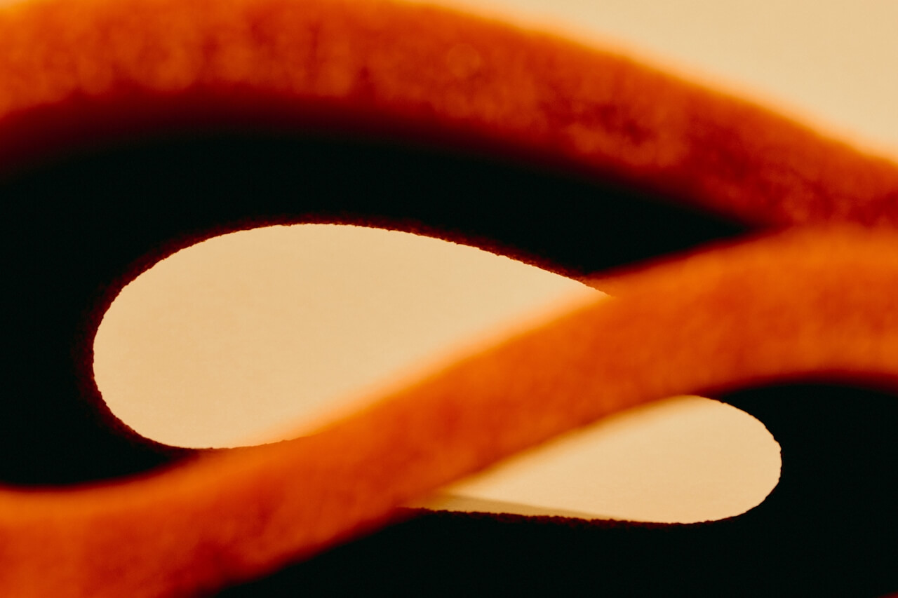 Abstract close-up of curling orange and black shapes on a cream background