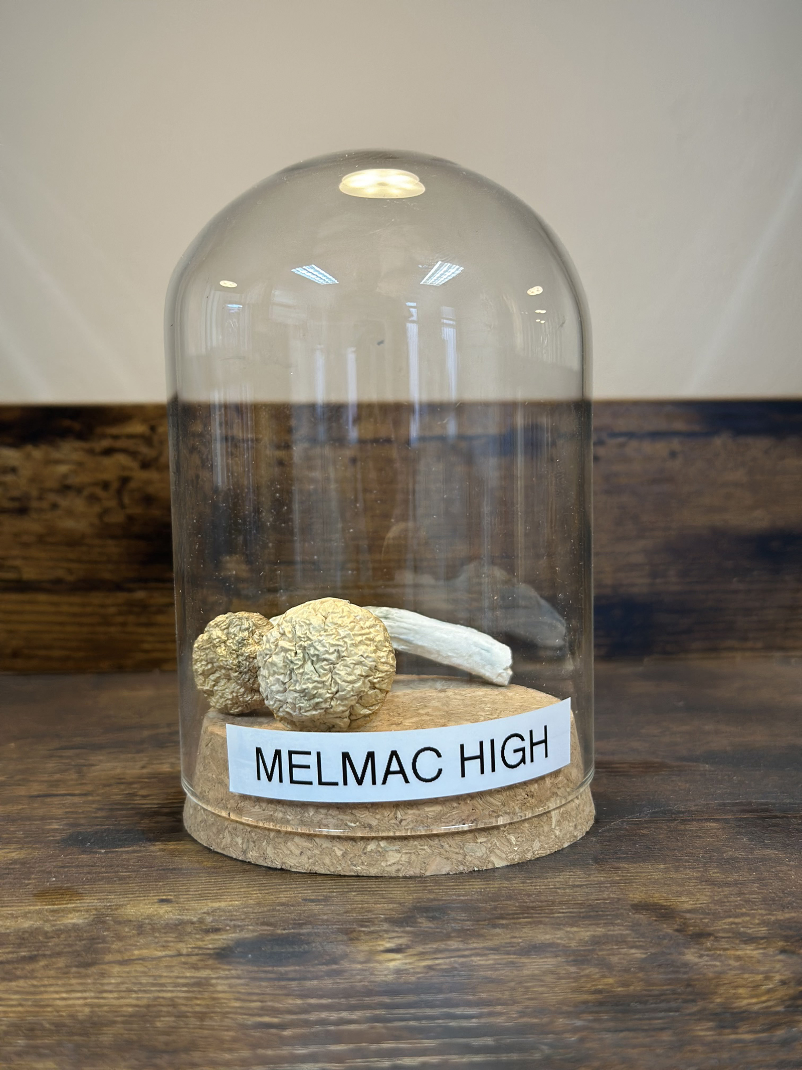 Melmac (top)