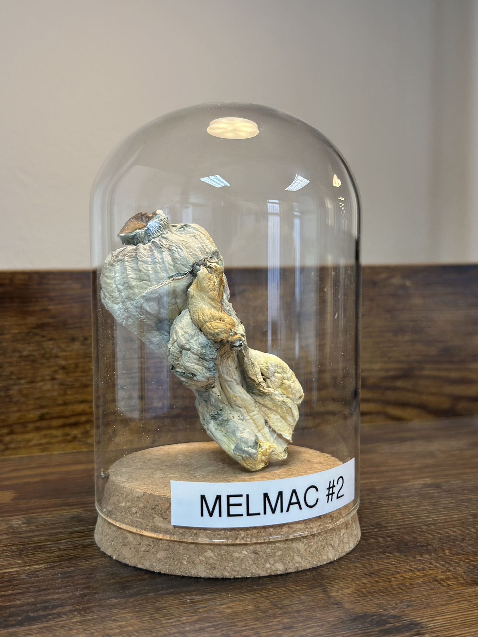 Melmac (mid)