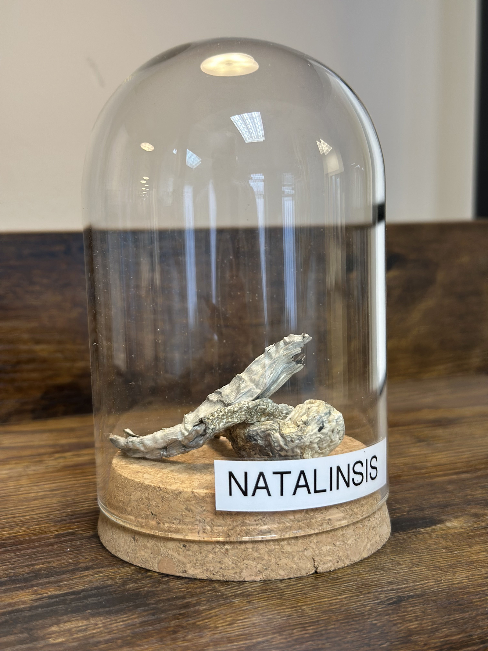 Natalinsis