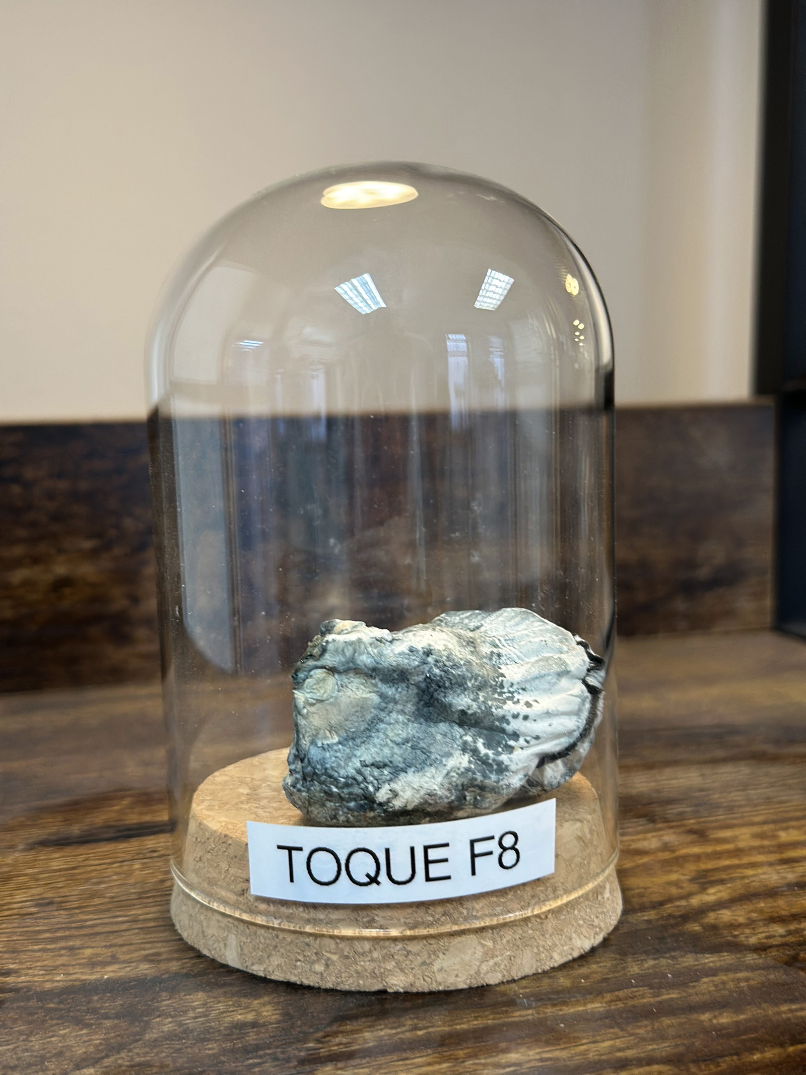 Toque F8