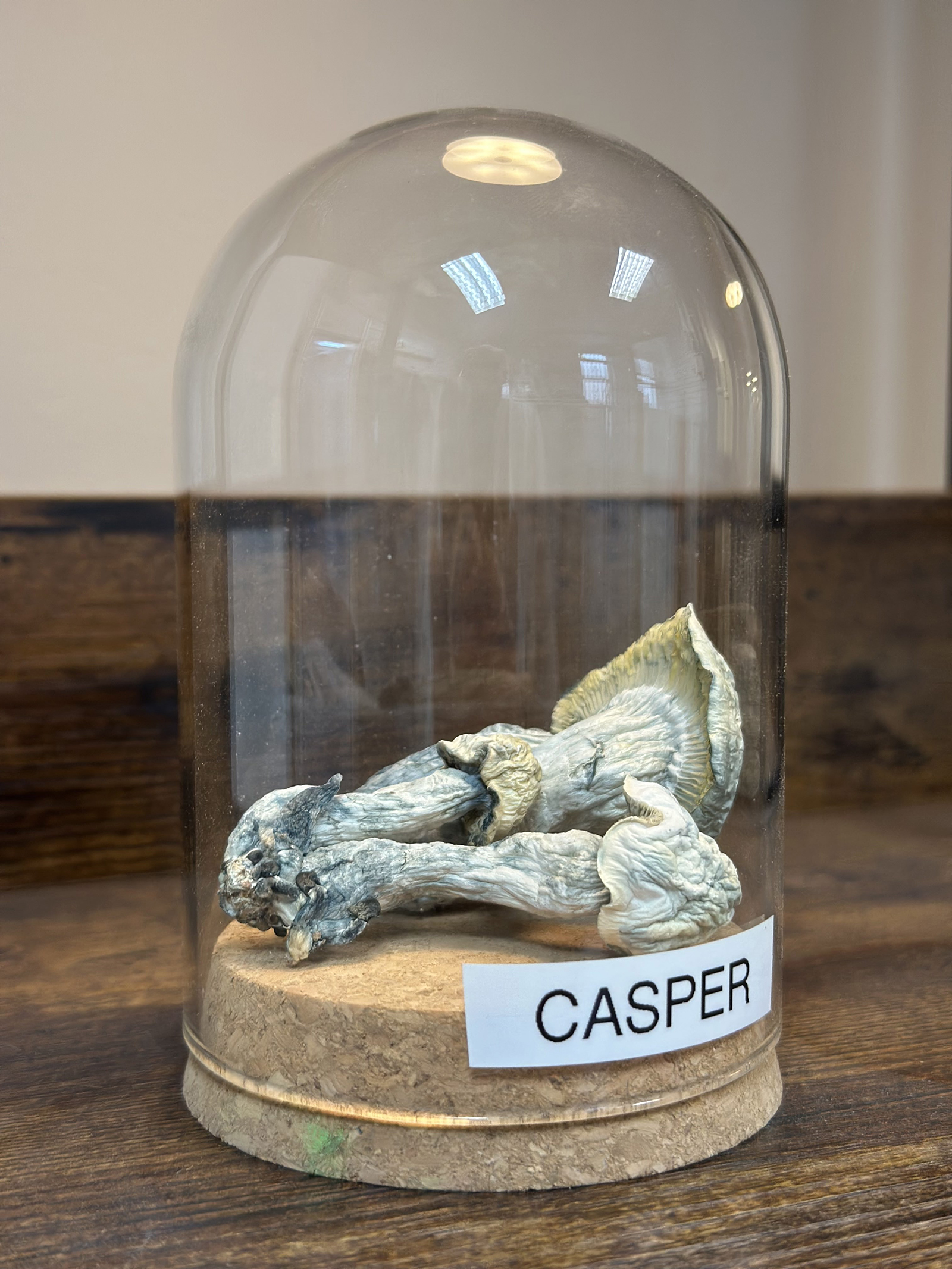 Casper