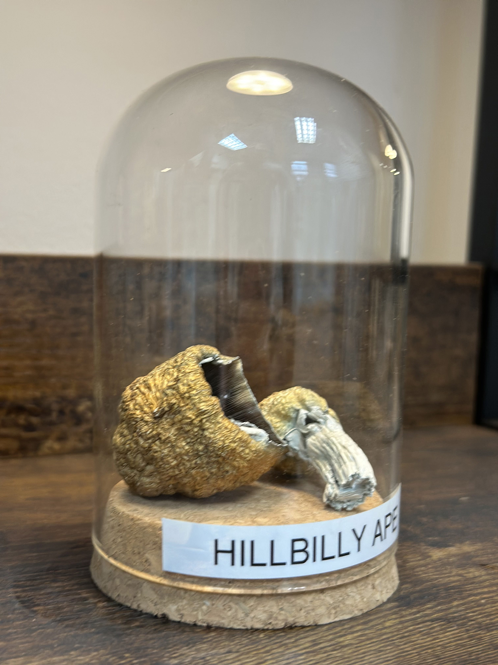 Hillbilly