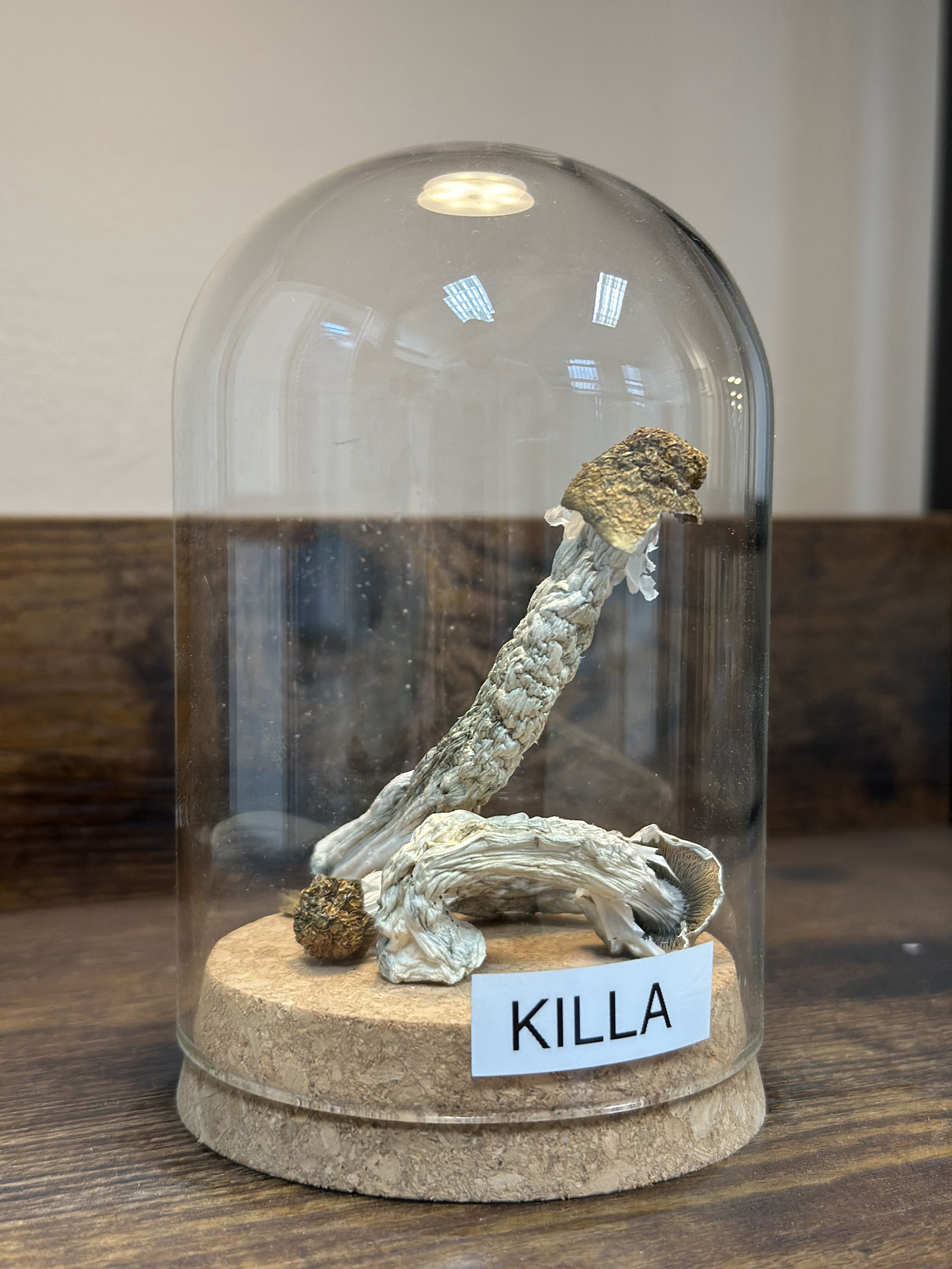 Killa