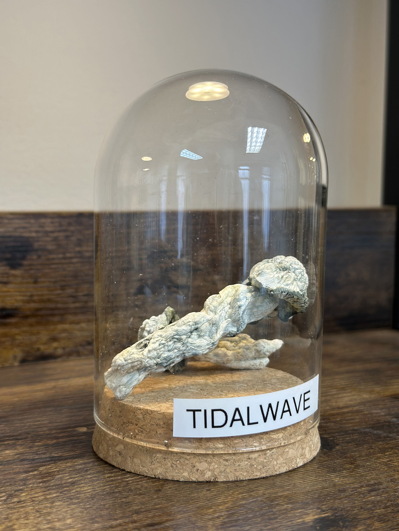 Tidal Wave