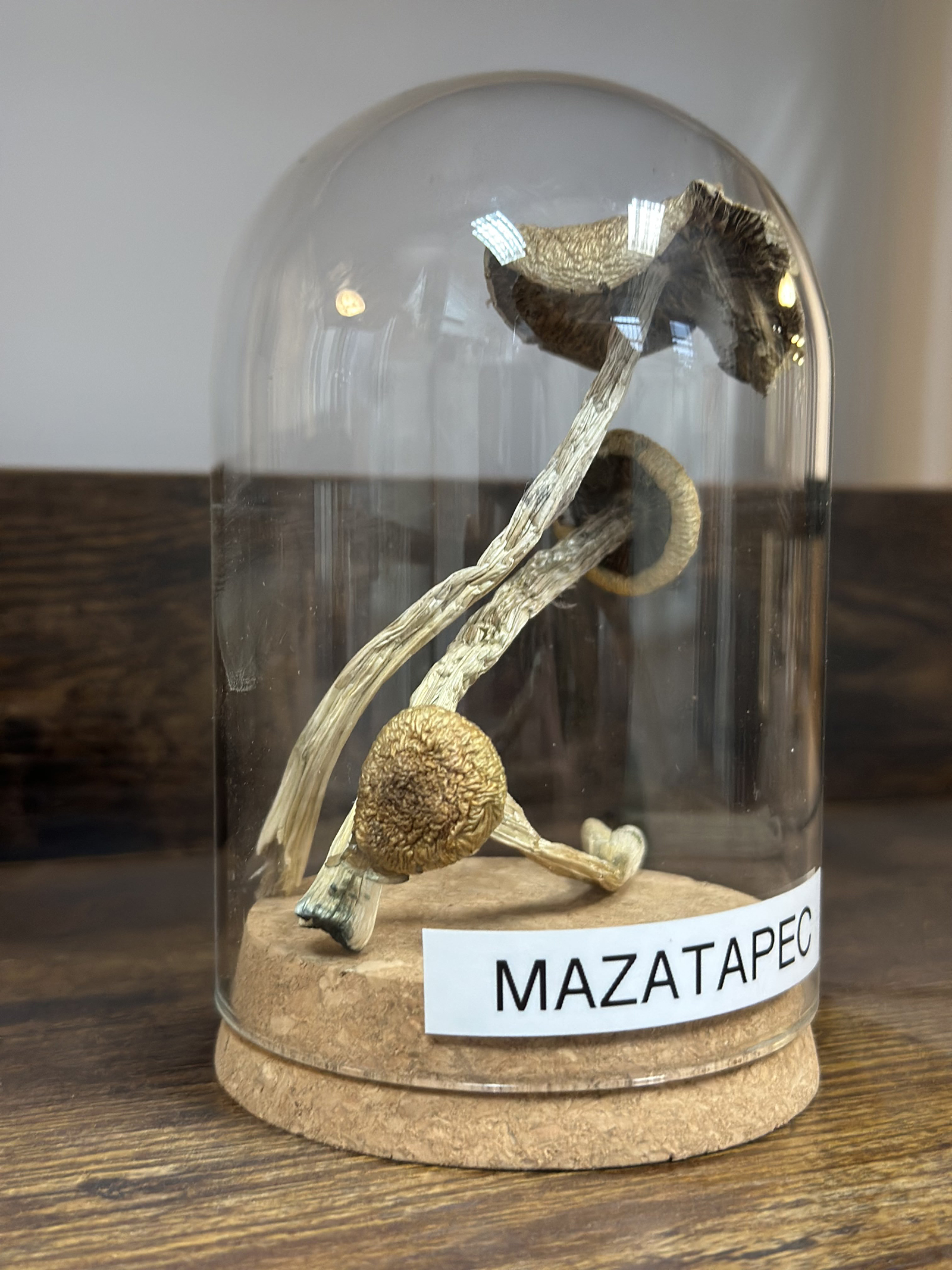 Mazatapec