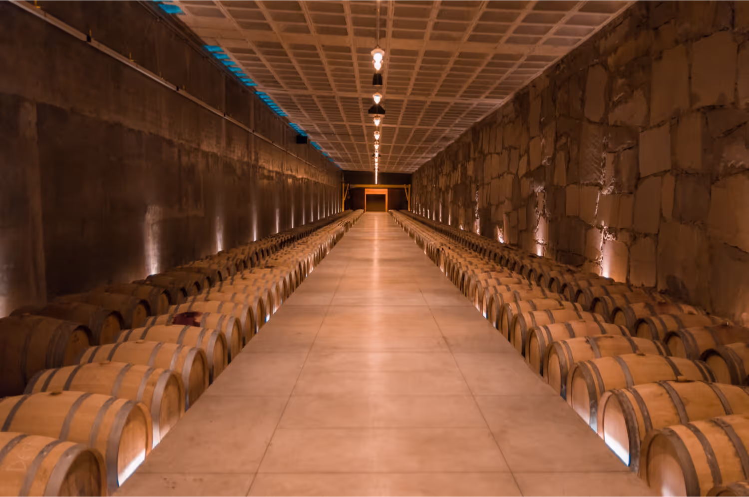 Rows of oak barrels inside a wine cellar