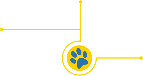 UCLA Extension Java Instructor 2015–2025 with a blue bear paw icon connected by yellow lines.