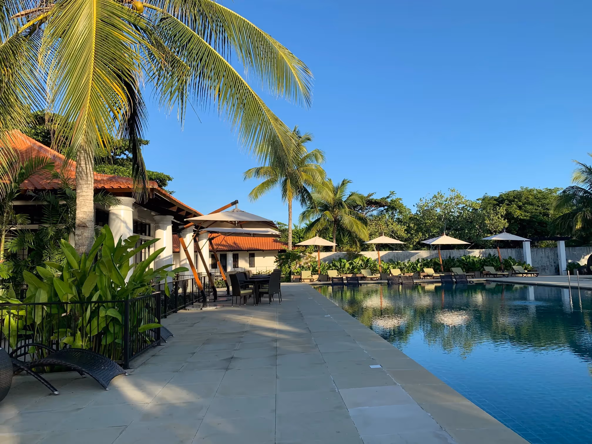 Pool area lined with palm trees and cozy villas at Dusit Thani Lubi Plantation Resort.