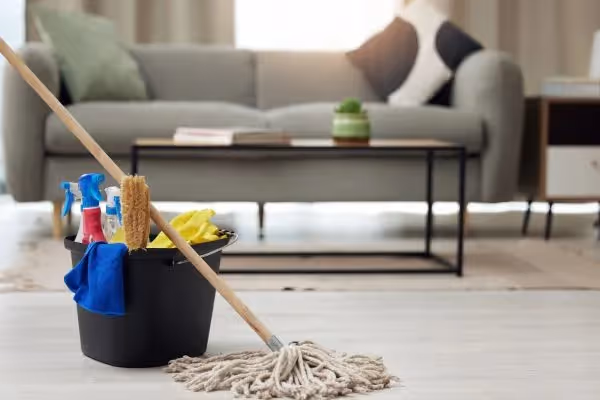 Professional home cleaning supplies in a modern living room.
