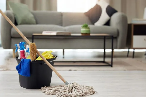 Professional home cleaning supplies in a modern living room.
