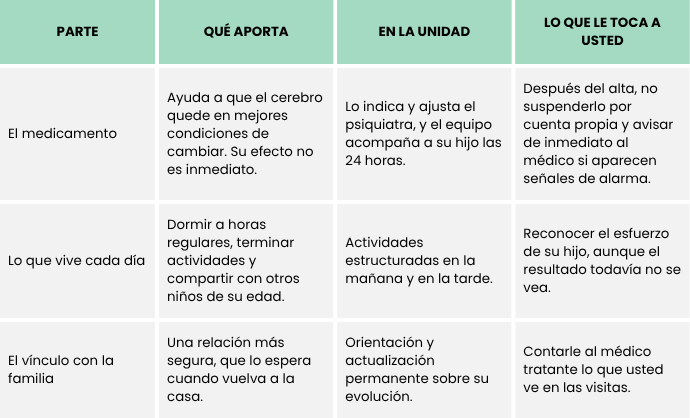 Partes del tratamiento a adolescentes en CLT