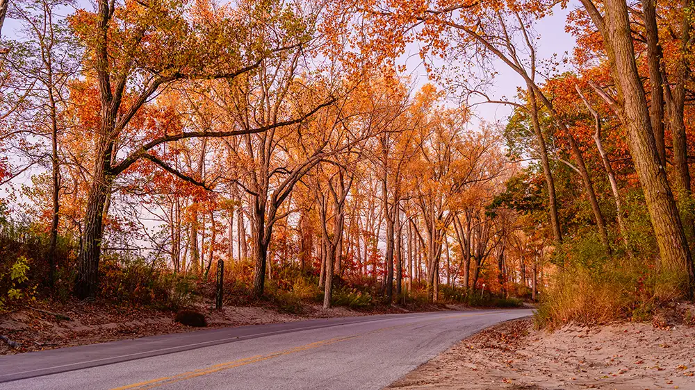 Autumn at Stone Jetty Beach, Presque Isle State Park 
