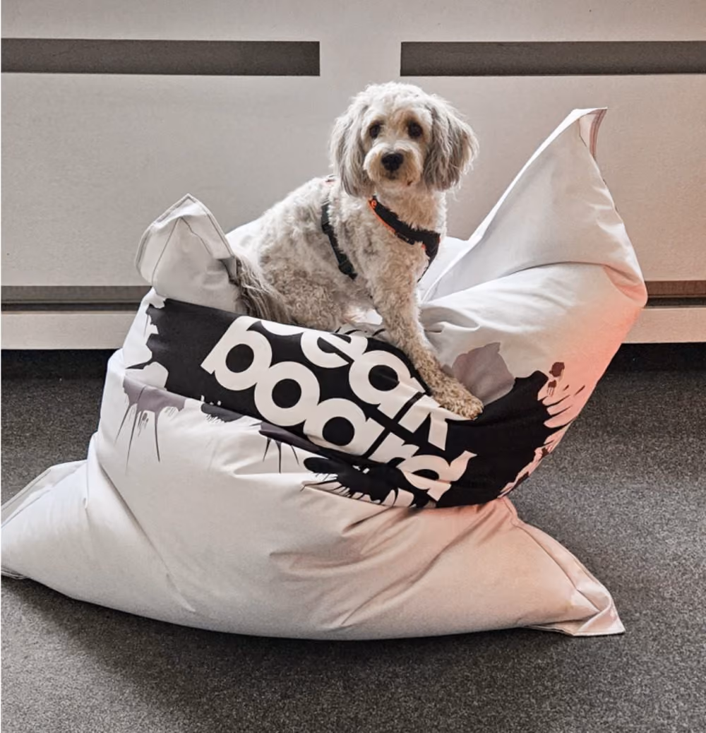 Peakboard-Sitzsack mit unserem Office-Hund.