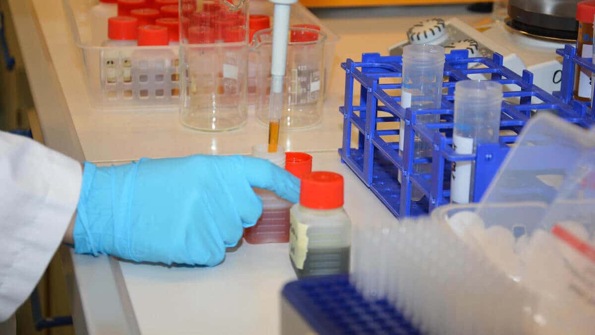 __wf_reserved_decorative