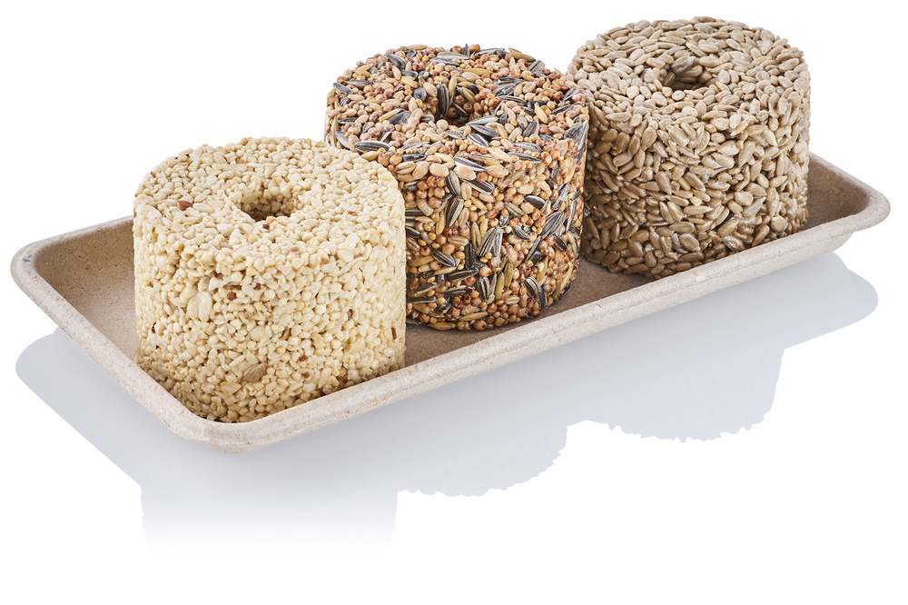Bird feed blocks made of seeds and grains in different varieties arranged on a tray