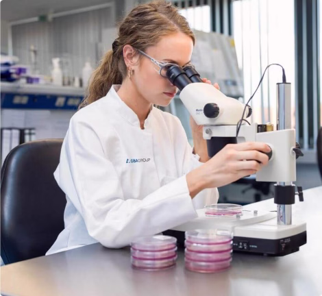 Laborantin analysiert Proben mit einem Mikroskop im Forschungslabor der GBA Laborgruppe.