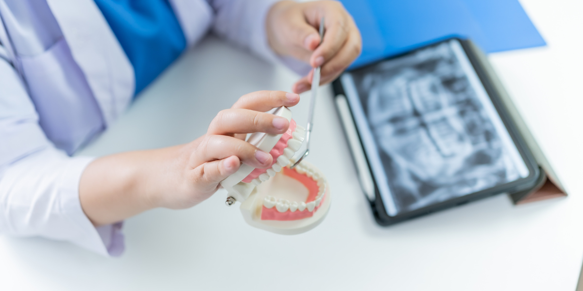 Dentist demonstrating how dental implants work with a teeth model and dental X-ray