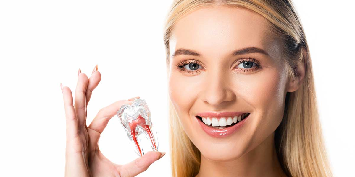 A smiling woman holding a transparent dental implant model, representing why dental implants are becoming a popular and reliable choice.
