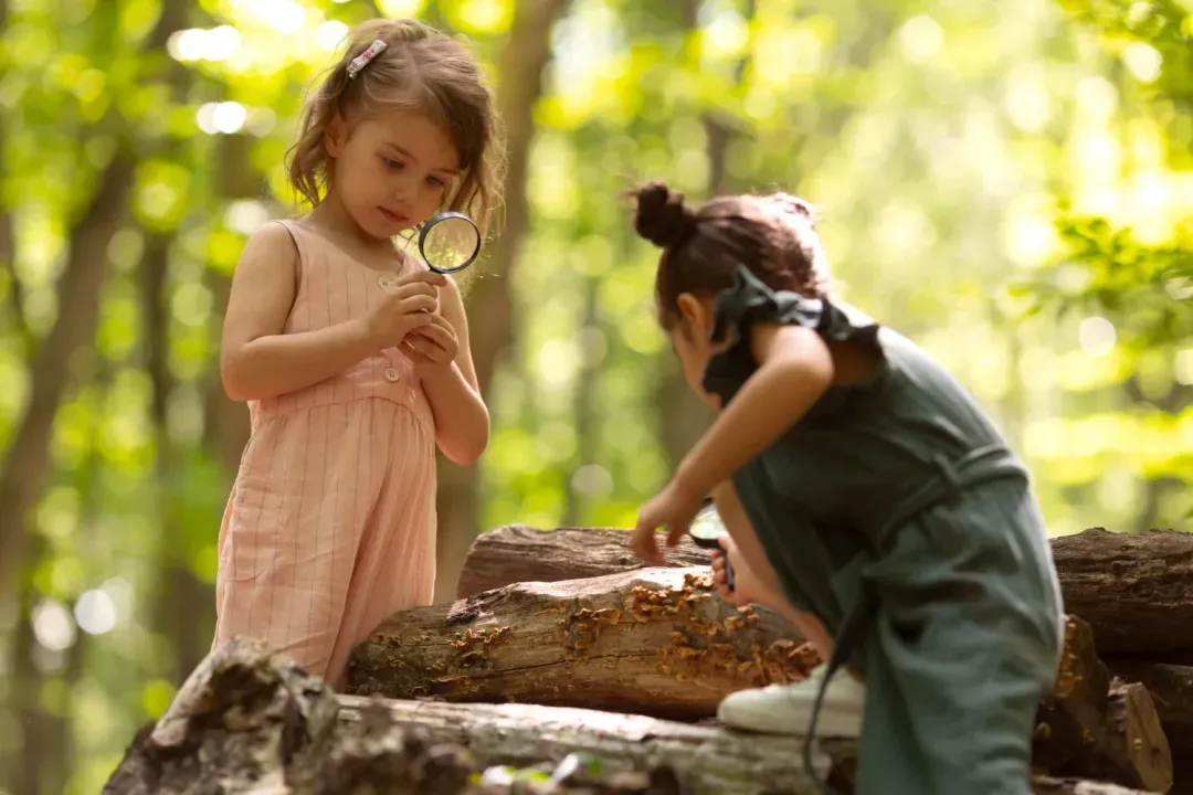 Nature Explorers