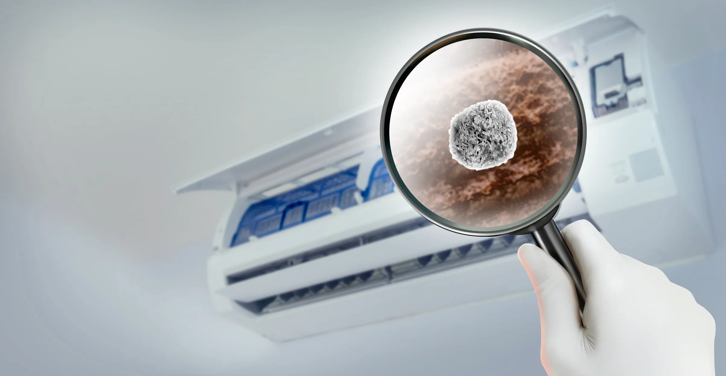 The Science Behind Indoor Air Quality: What Every Homeowner Should Know