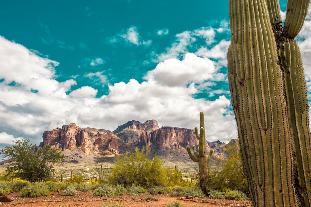 What Nearly 50 Years of Arizona Desert Experience Means for Your Home