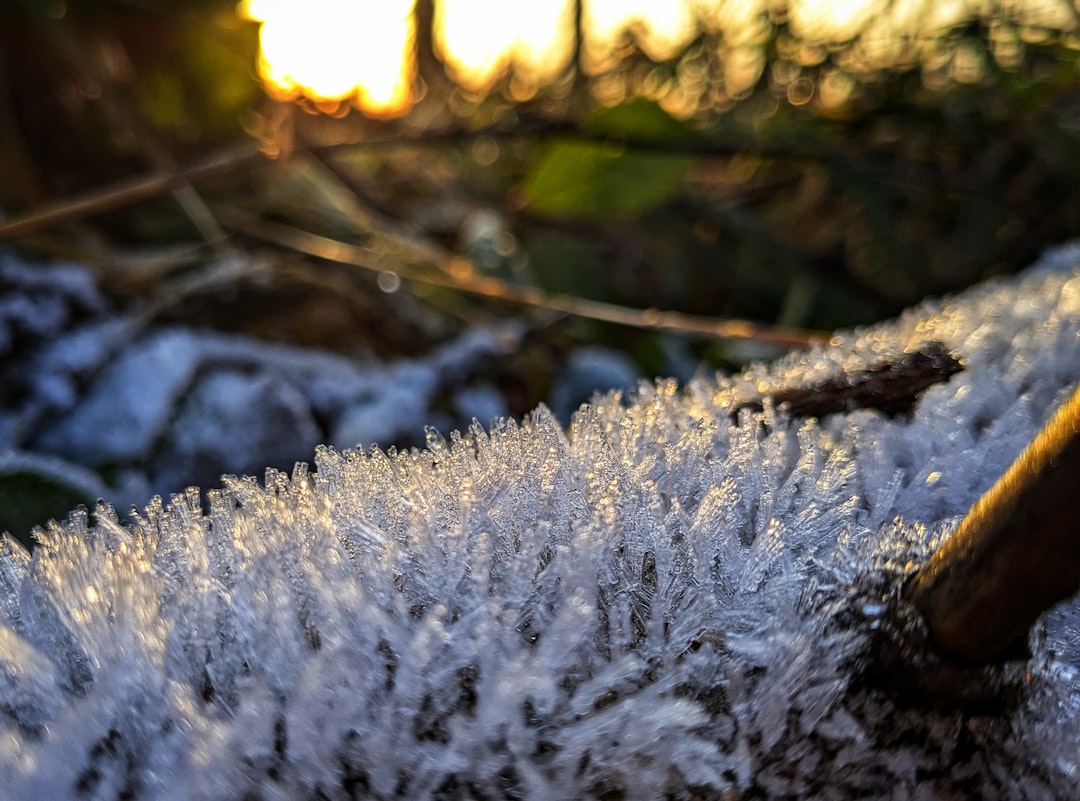 Frozen Solid or Totally Normal? Heat Pump Ice Buildup Explained