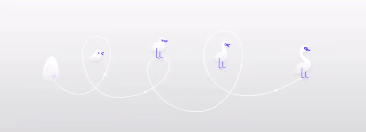 5 stages of a duckling’s transformation into a swan