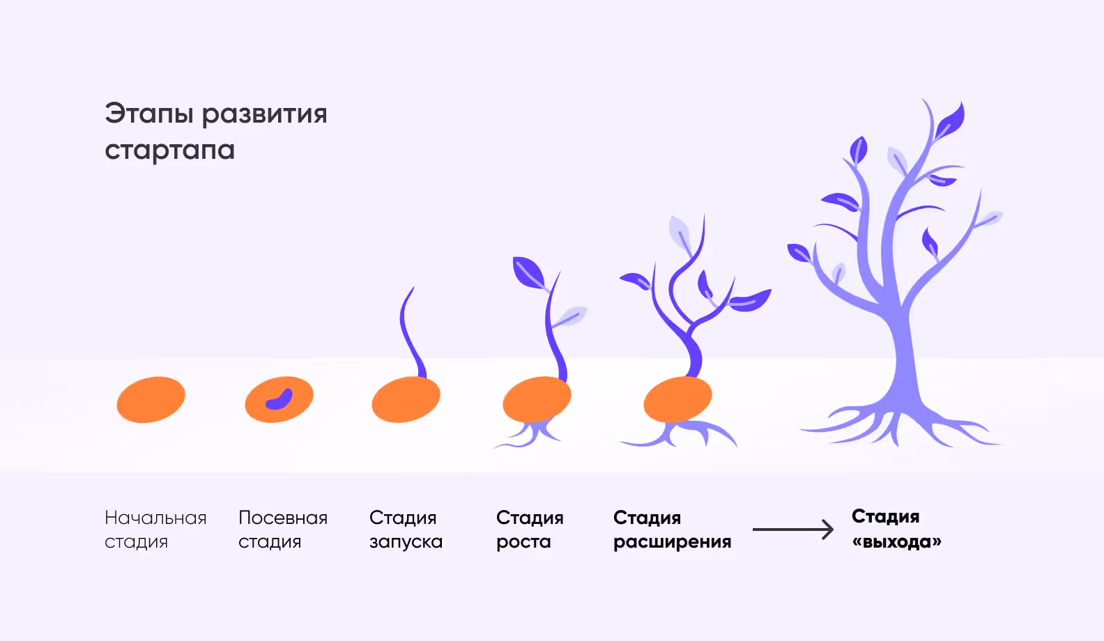 этапы развития стартапа