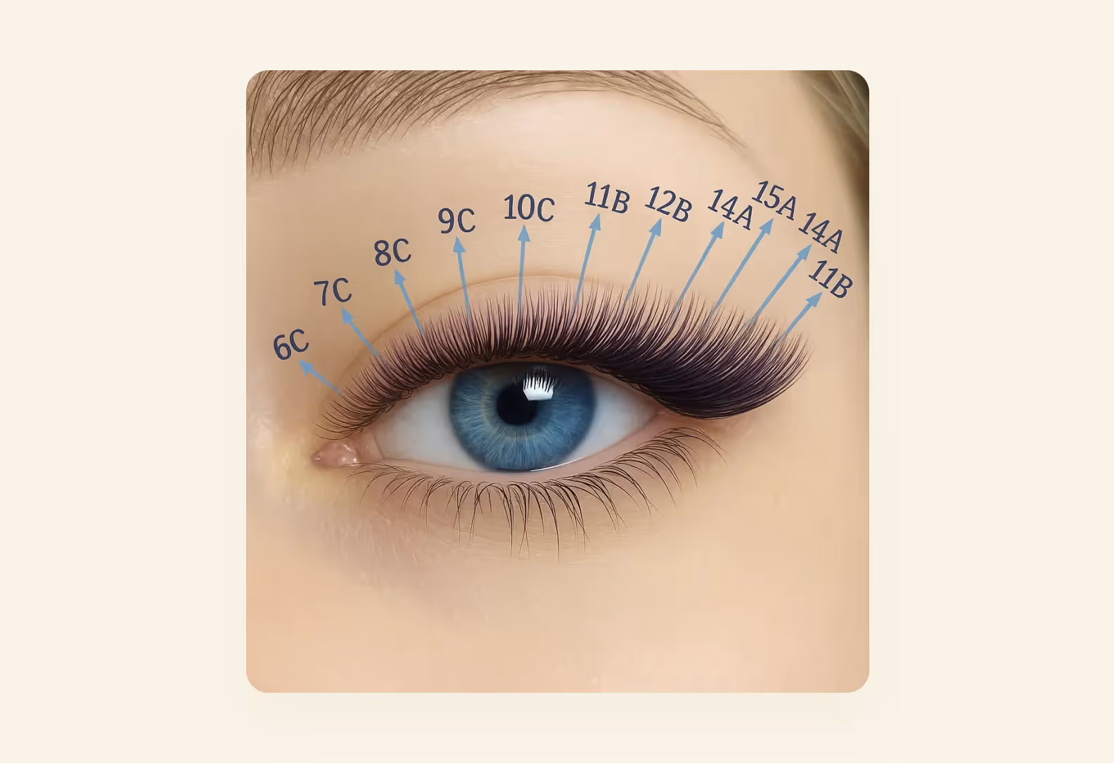 Схема наращивания ресниц и эффект