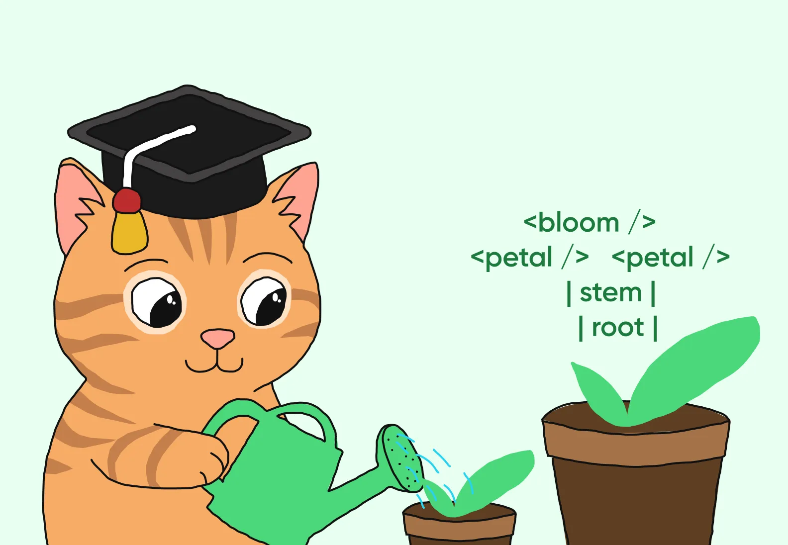 cat watering plants