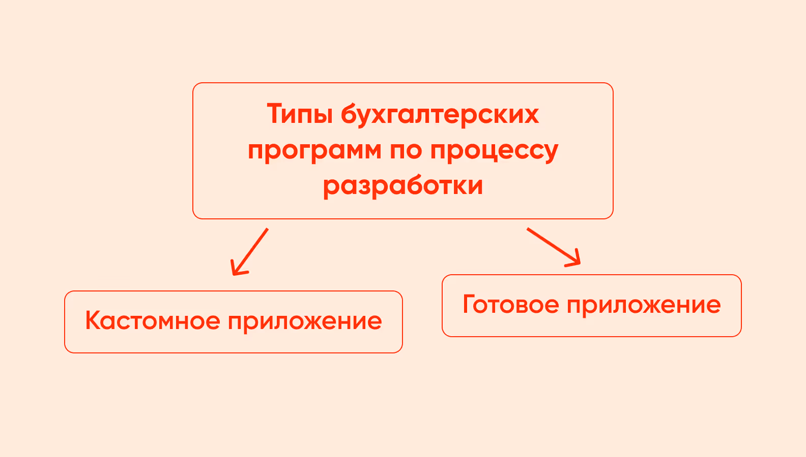 Два типа бухгалтерских программ: готовые и кастомные приложения