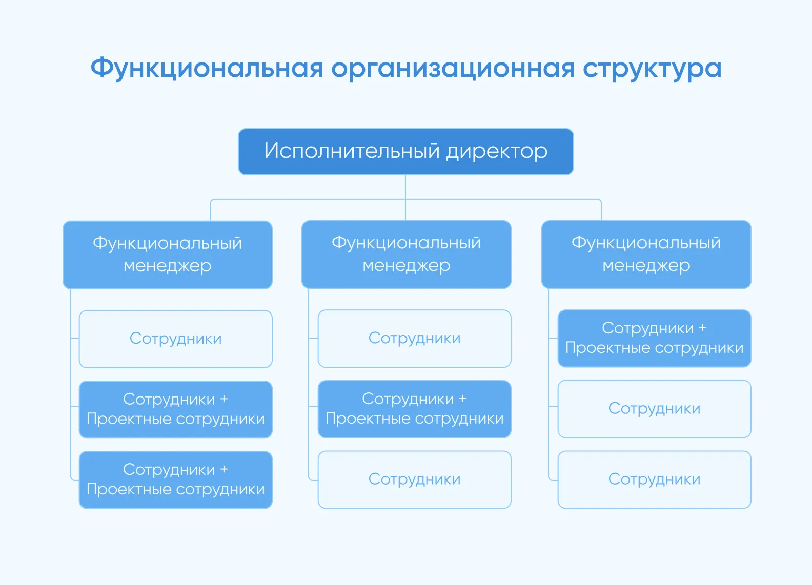 функциональная структура команды