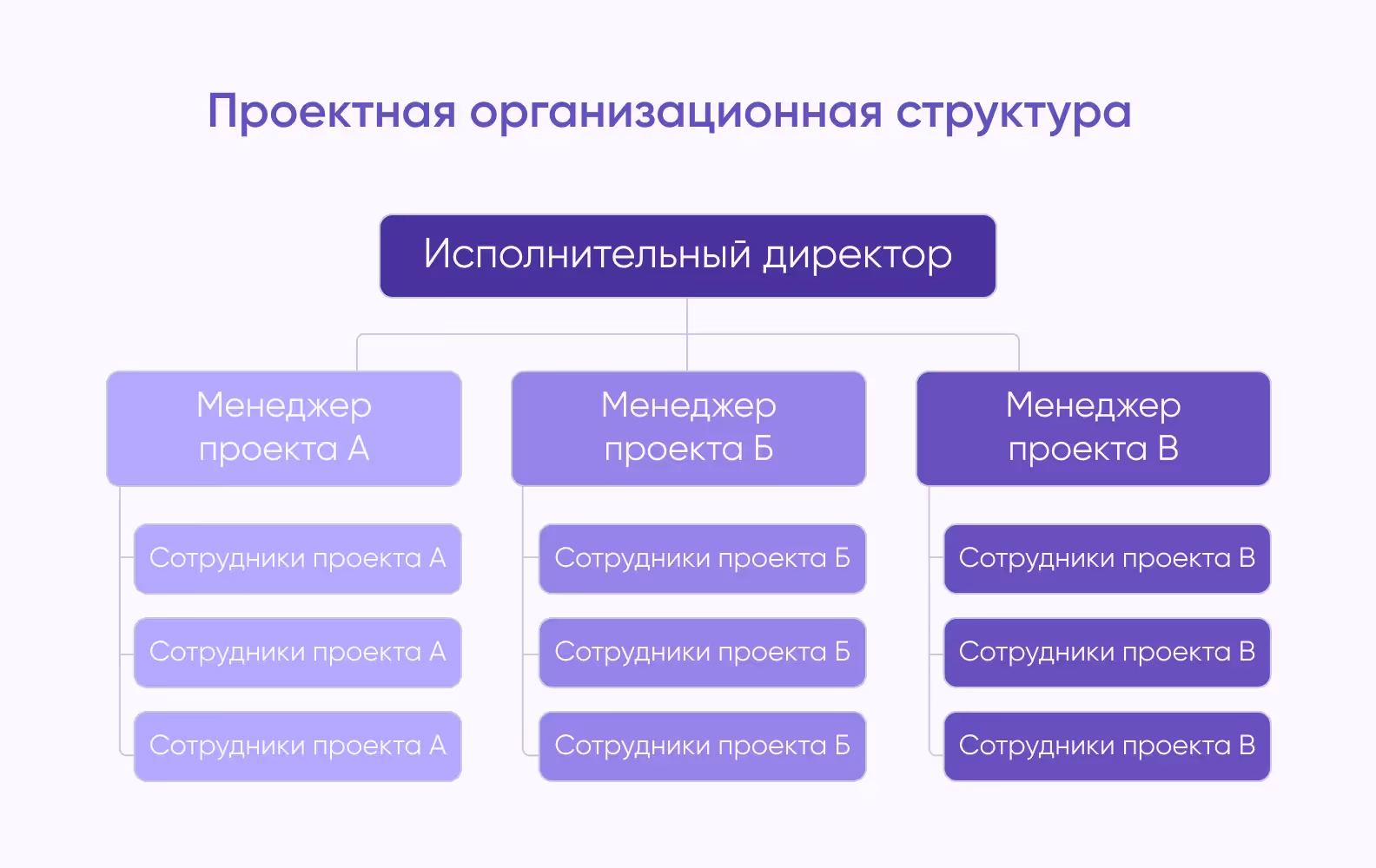 проектная командная структура