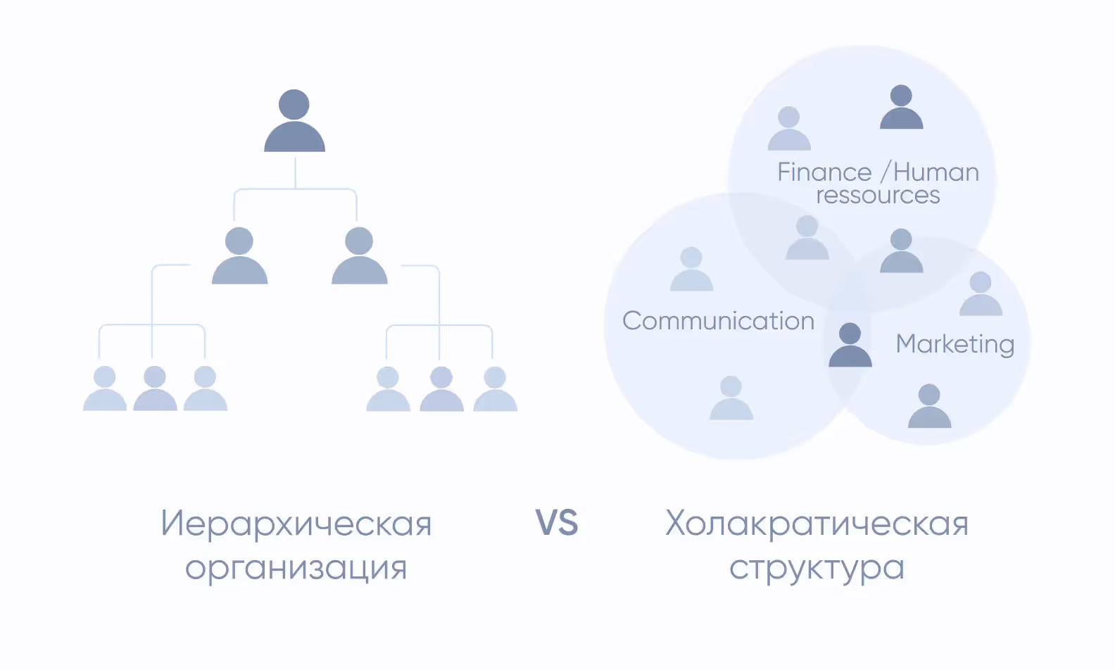 круговая командная структура
