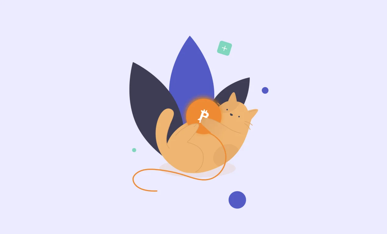 создать криптокошелек: кастомная иллюстрациия от Purrweb