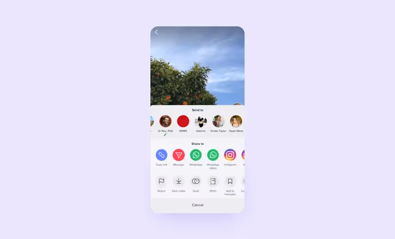 How to make a social media app — TikTok