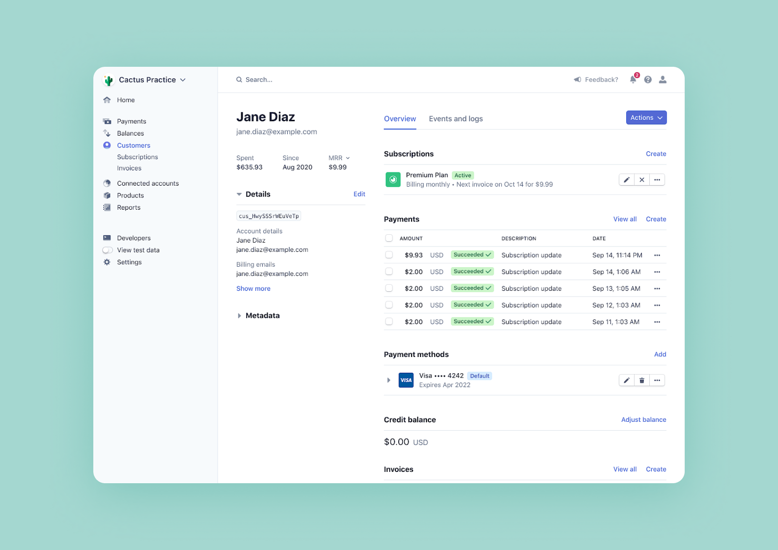 Screenshot of Stripe’s interface