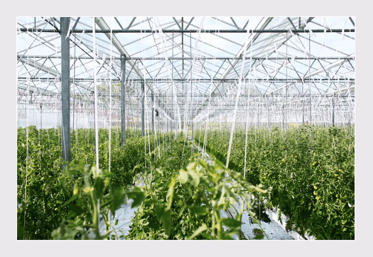 agriculture software development