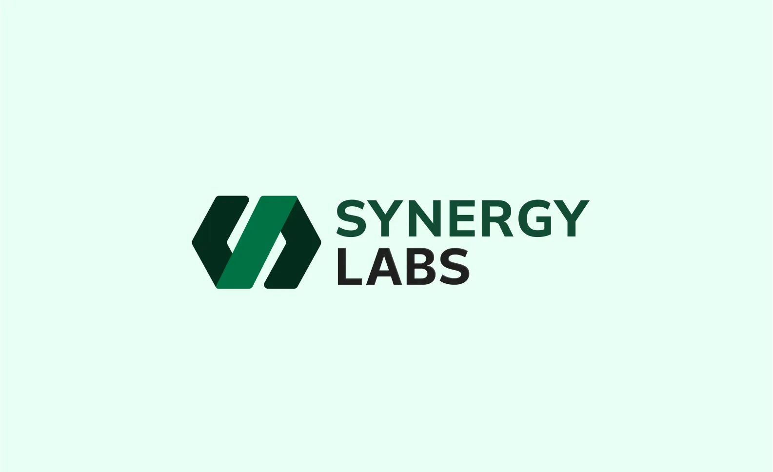 Synergy Labs logo