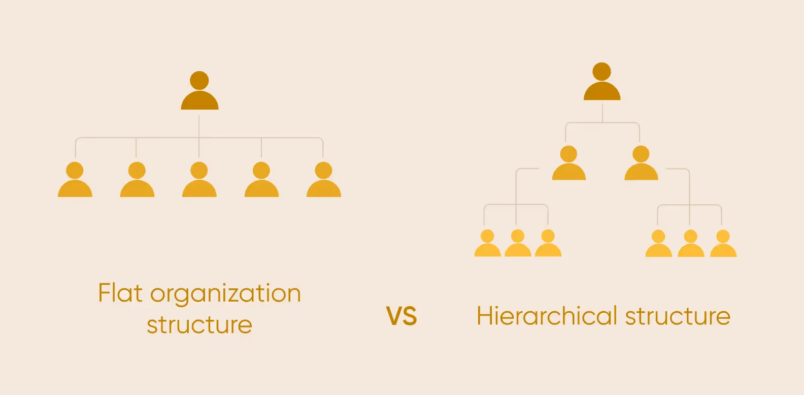 flat organization structure