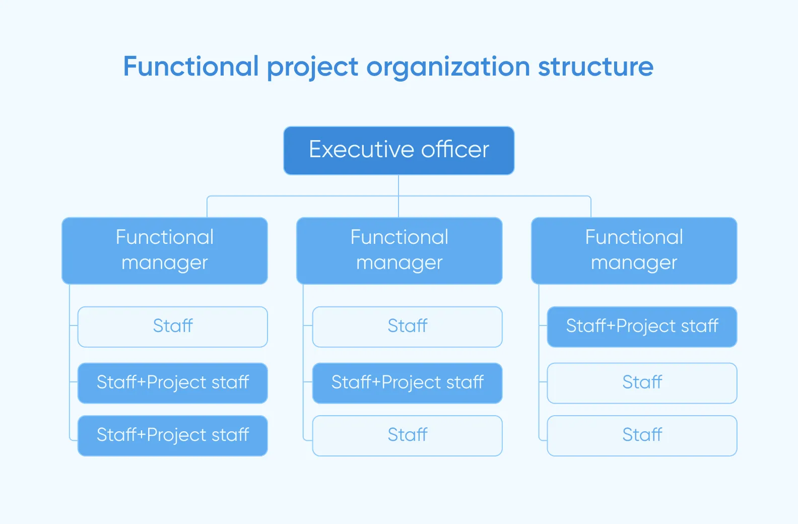 functional team structure