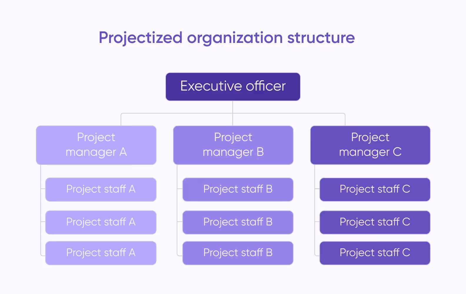 project-based team structure