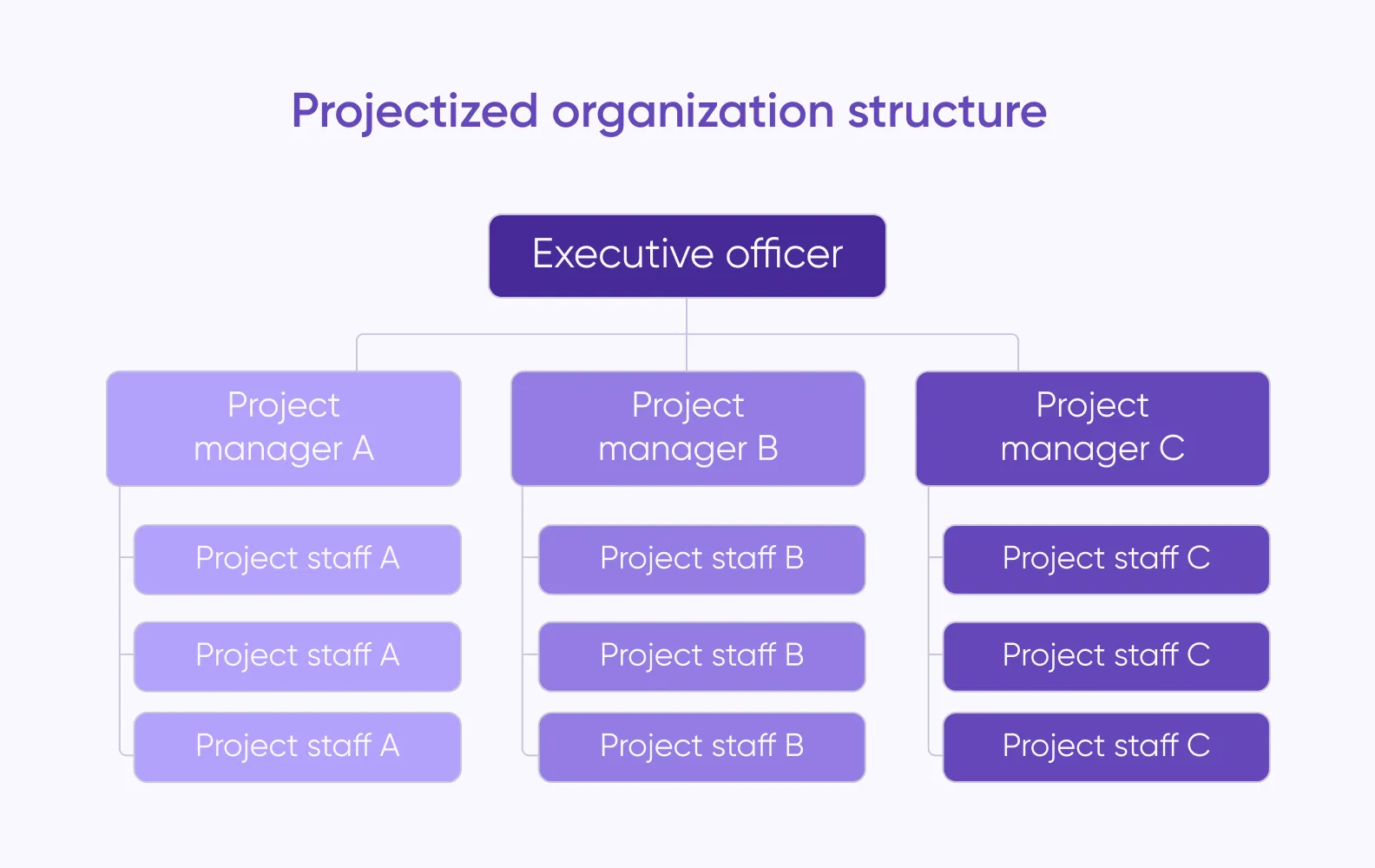 project-based team structure