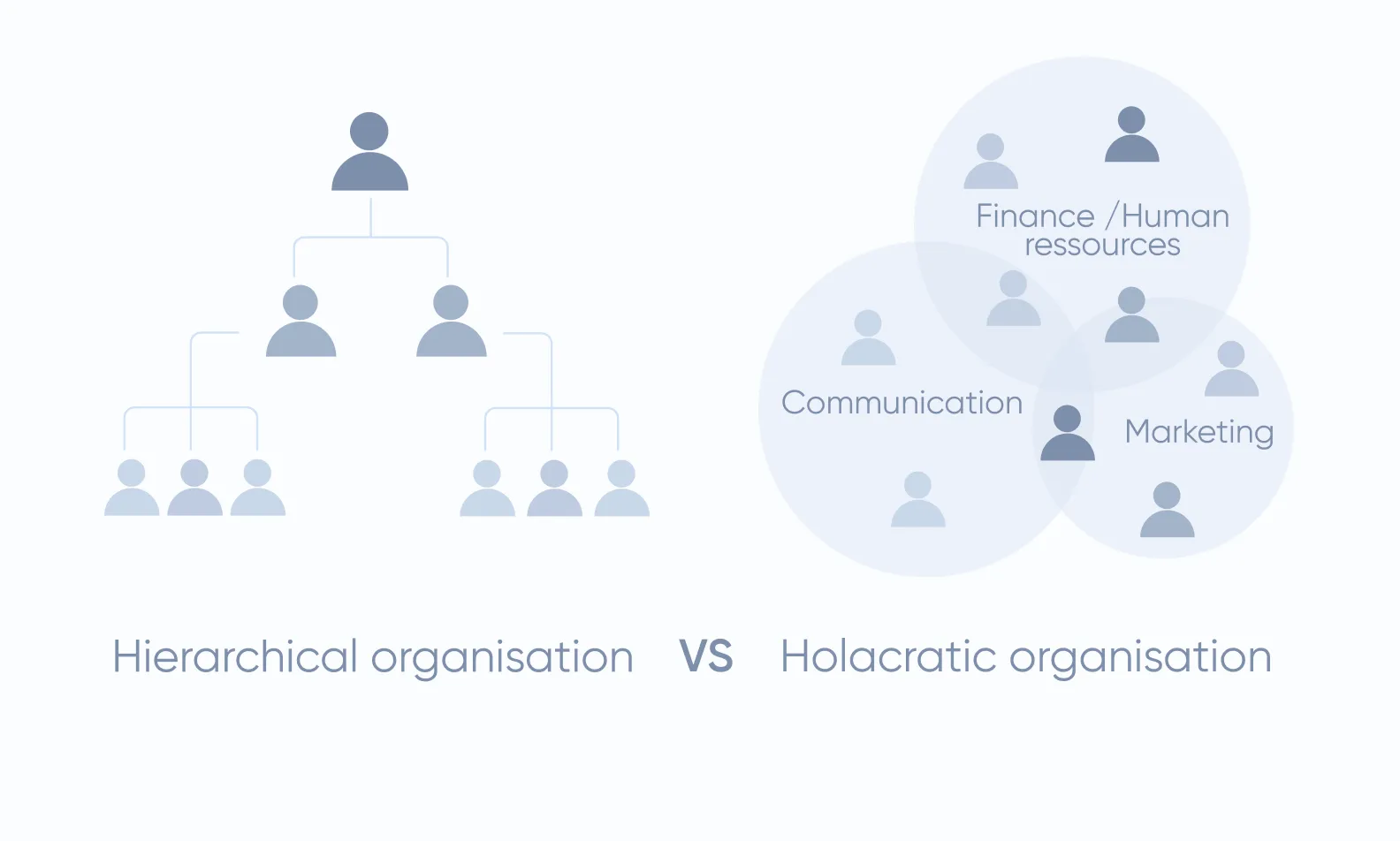 circular team structure
