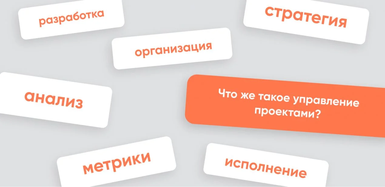 Профессиональное управление проектами: что это и зачем оно нужно стартапу?