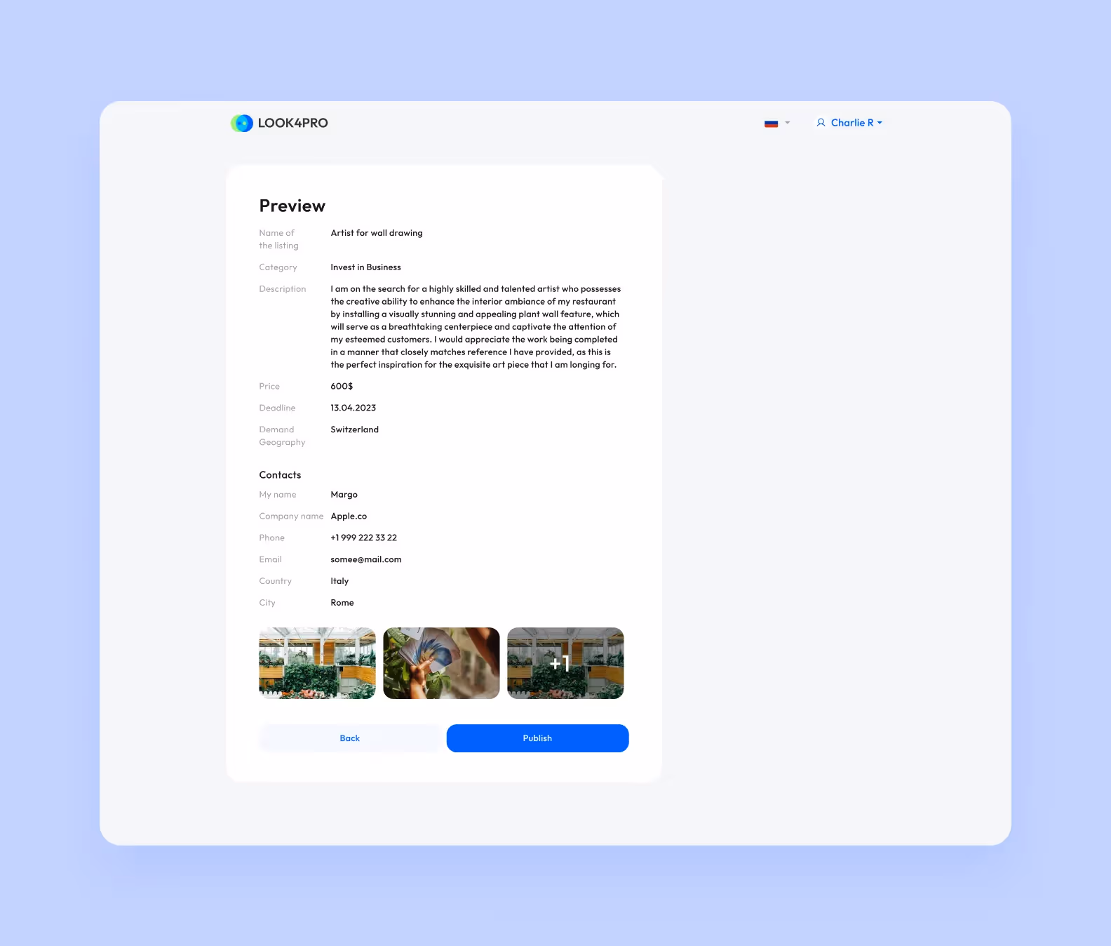 Превью объявления
