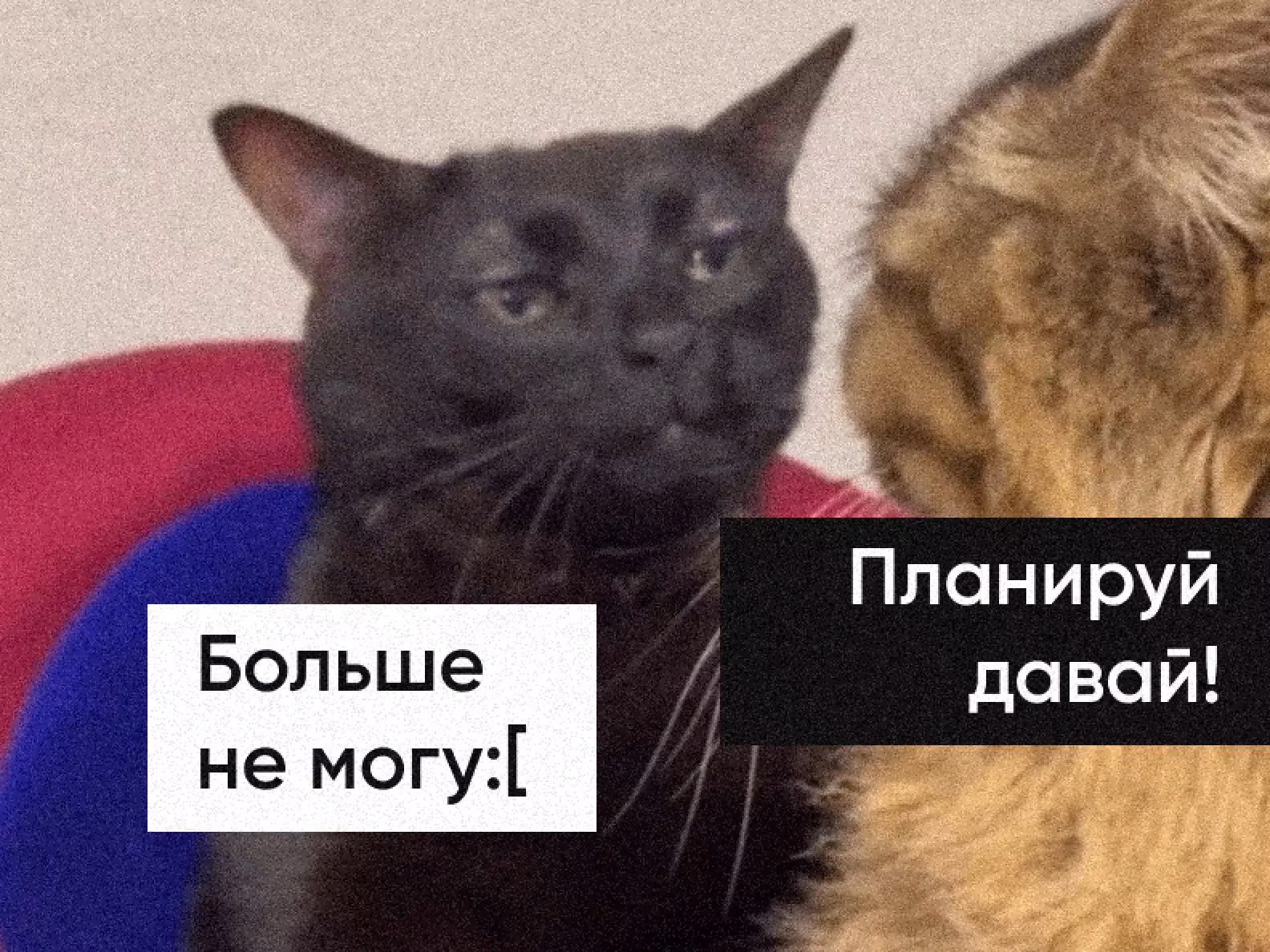 Твое лицо, когда планируешь путешествие больше трех дней