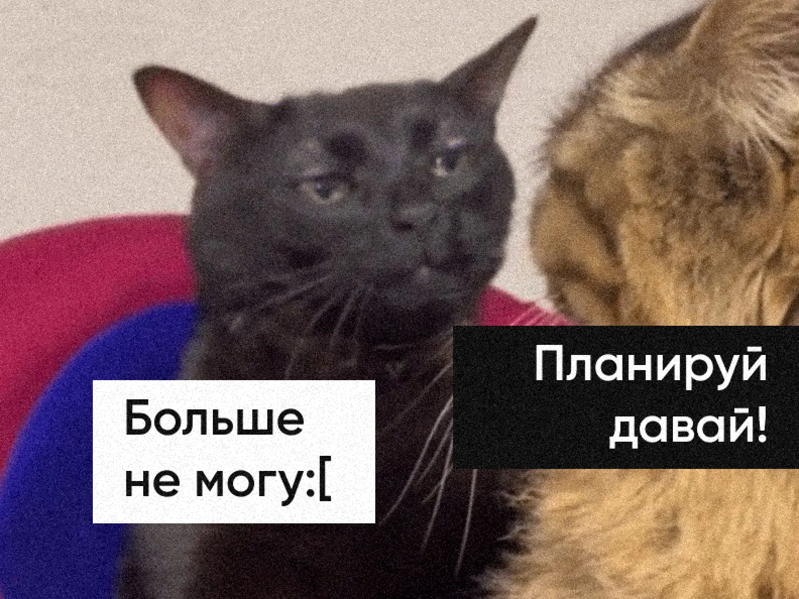 Твое лицо, когда планируешь путешествие больше трех дней